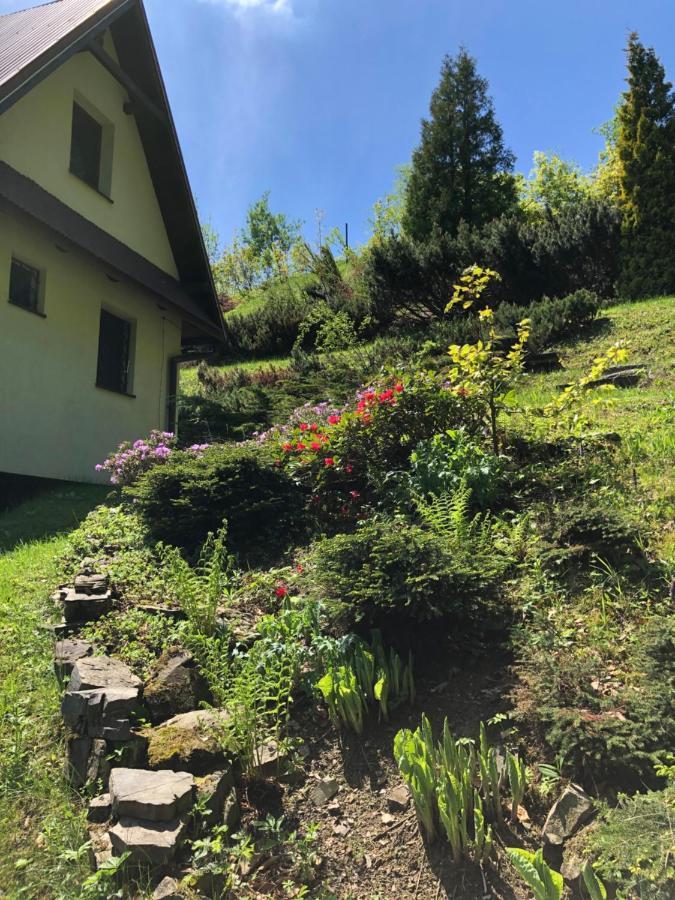 Mountain Cottage Lubomierz Lubomierz  外观 照片