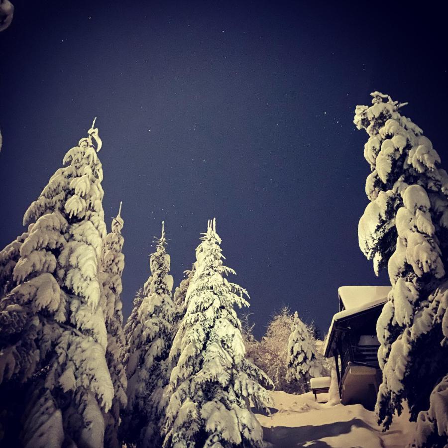 Mountain Cottage Lubomierz Lubomierz  外观 照片