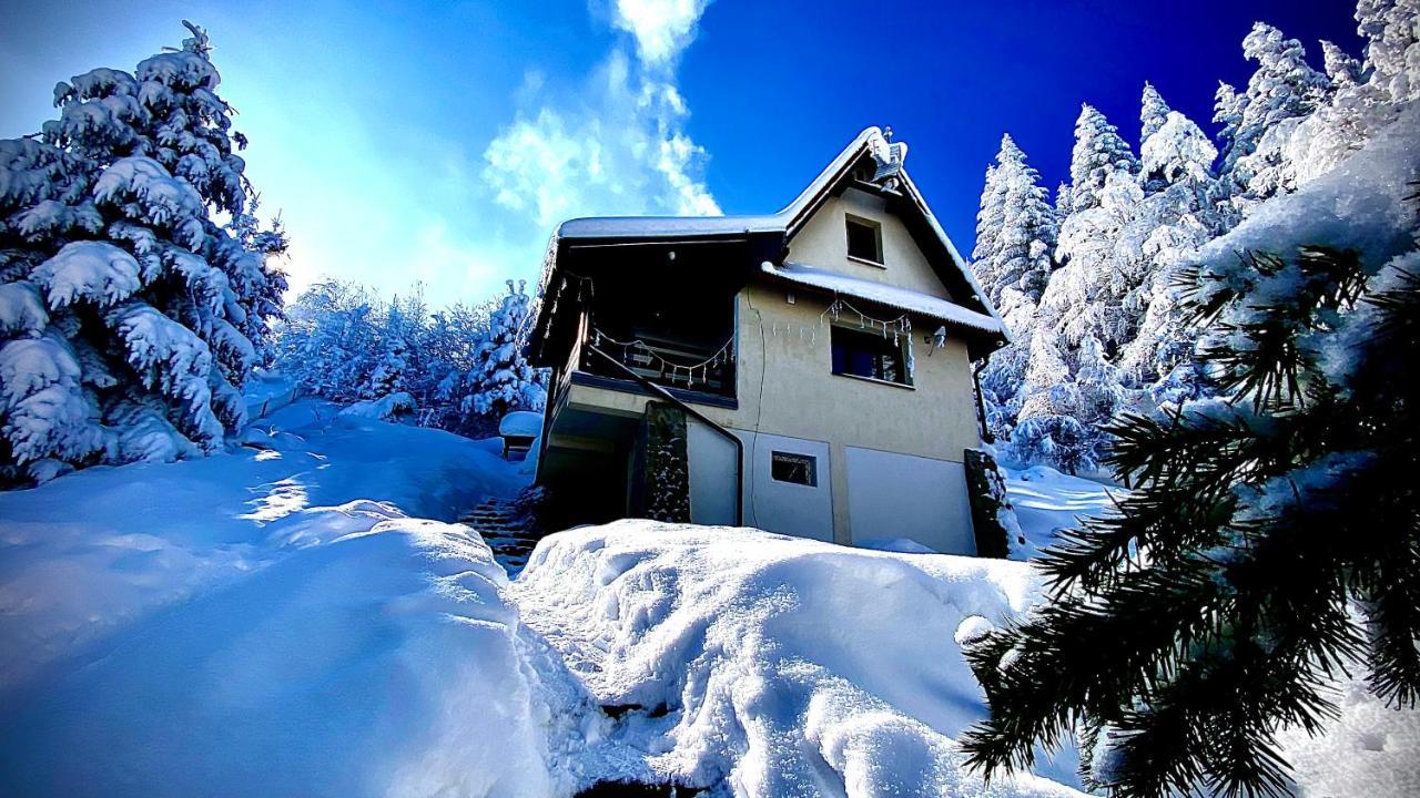 Mountain Cottage Lubomierz Lubomierz  外观 照片